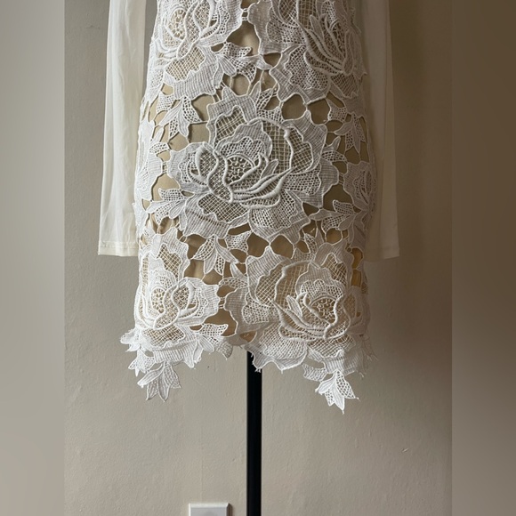 Love-cat lace/sheer mesh combo, off white dress, gold back zip, size L, like new - Picture 2 of 8